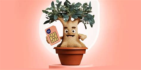 felix esim